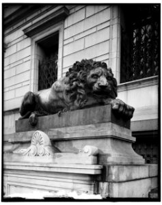 Lions at Corcoran Art Gallery LOC hec.13840