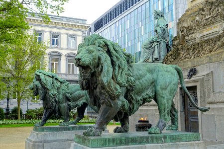 Lions by Eugène Simonis - Congress Column - Brussels, Belgium - DSC06941