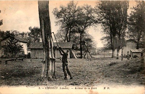 Liposthey (Landes) - avenue de la gare