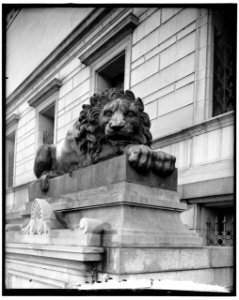 Lions at Corcoran Art Gallery LOC hec.13841