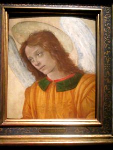 Lippi Ange Strasbourg
