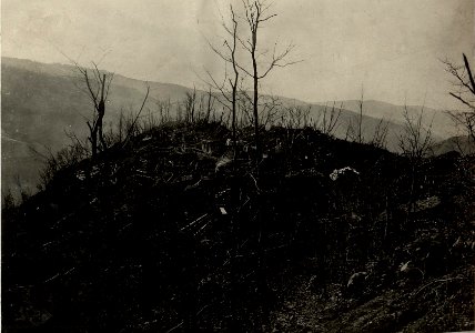 Linker Flügel des Infanterie Regiment Nro.53 am Südhange der Kote 588 bei St.Lucia, im Vordergrunde ein Soldatenfriedhof, dahinter Unterkünfte und eine hölzerne Kapelle. (BildID 15465859)