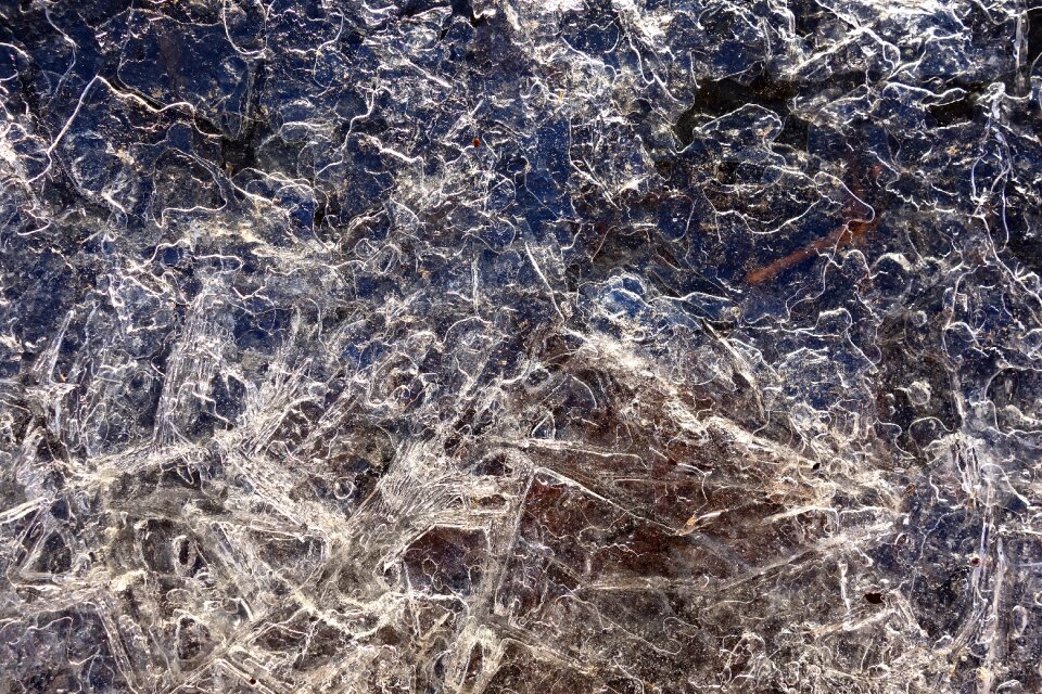 Frost frozen sparkle