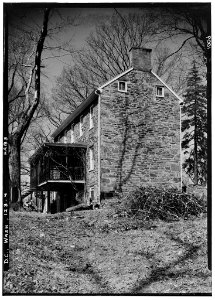 Linnaean Hill-4