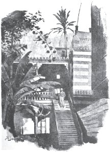 Listy z Afryki - ilustracja - tom I str. 31