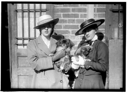 LITTANER, MISS CATHERINE L. DOG SHOW LCCN2016866274
