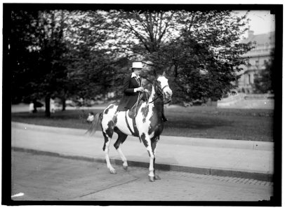 LITTANER, MISS CATHERINE L. RIDING AND HUNT CLUB LCCN2016866363