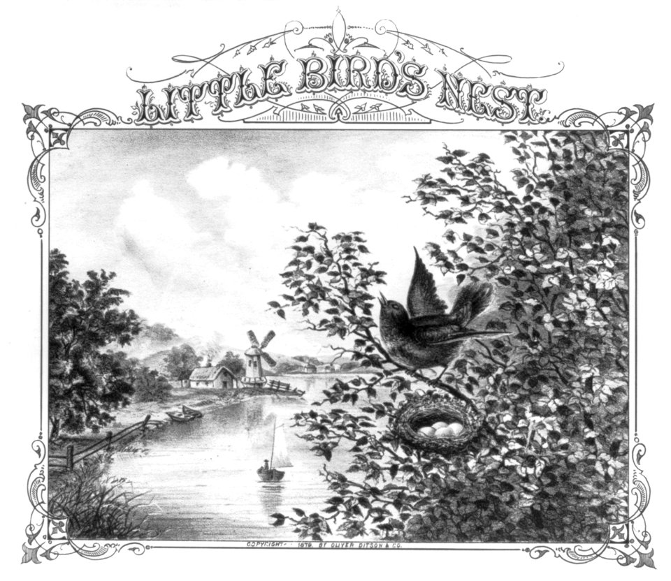 Little Bird's Nest LCCN2001701582