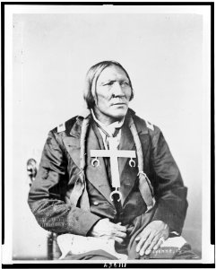 Little Robe, Cheyenne Indian, half-length portrait, seated, facing right LCCN94512099