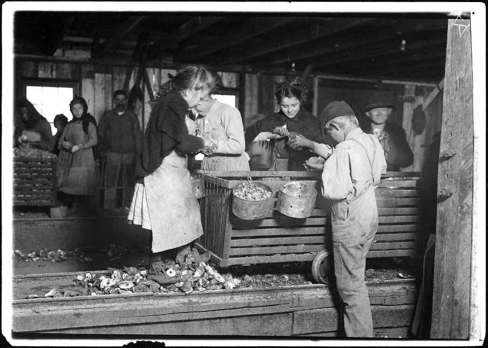 Little Lottie, a regular oyster shucker in Alabama Canning Co. She speaks no English. Note the condition of her shoes... - NARA - 523398