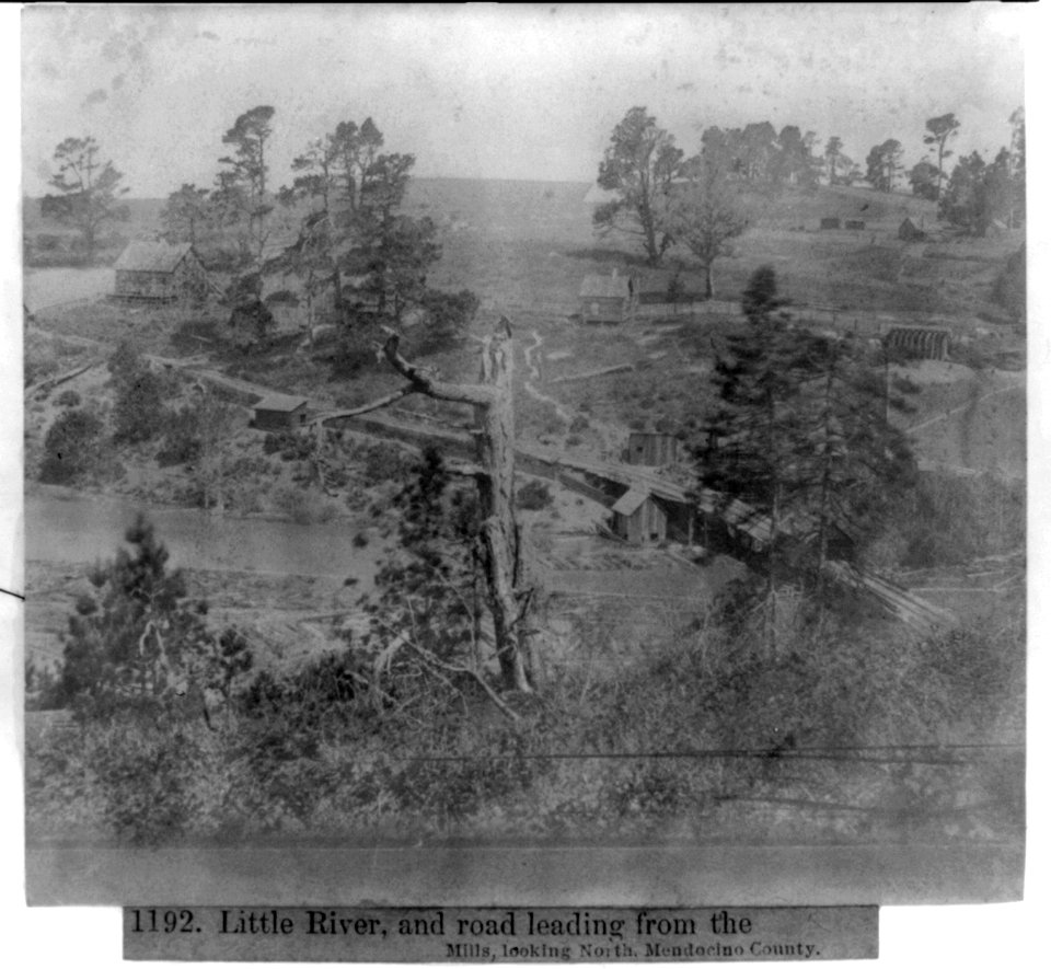 Little River and road leading from the Mills, looking North, Mendocino County LCCN2002719831