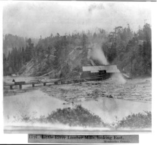 Little River Lumber Mills, looking East, Mendocino County. LCCN2002719826
