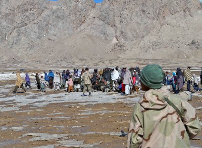 Livestock immunizations in Zabul 120308-N-CI175-018 photo