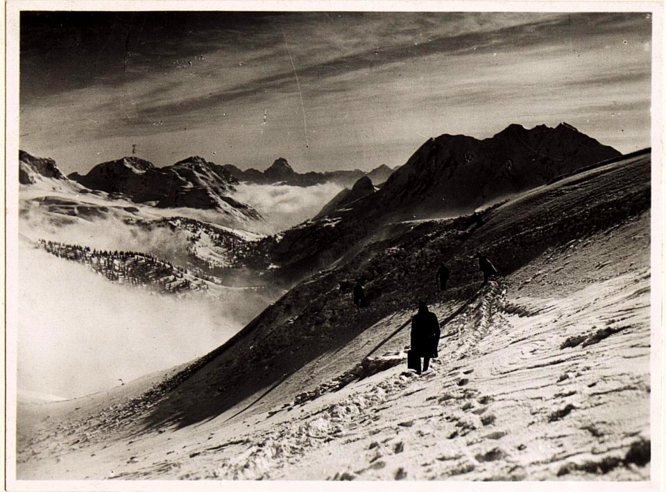Linke Flügelstellung auf der Cima Val di Puartis. (BildID 15496647)