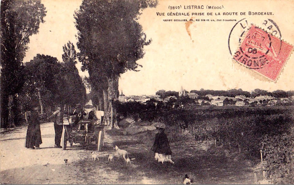 Listrac-Médoc - vue générale 2