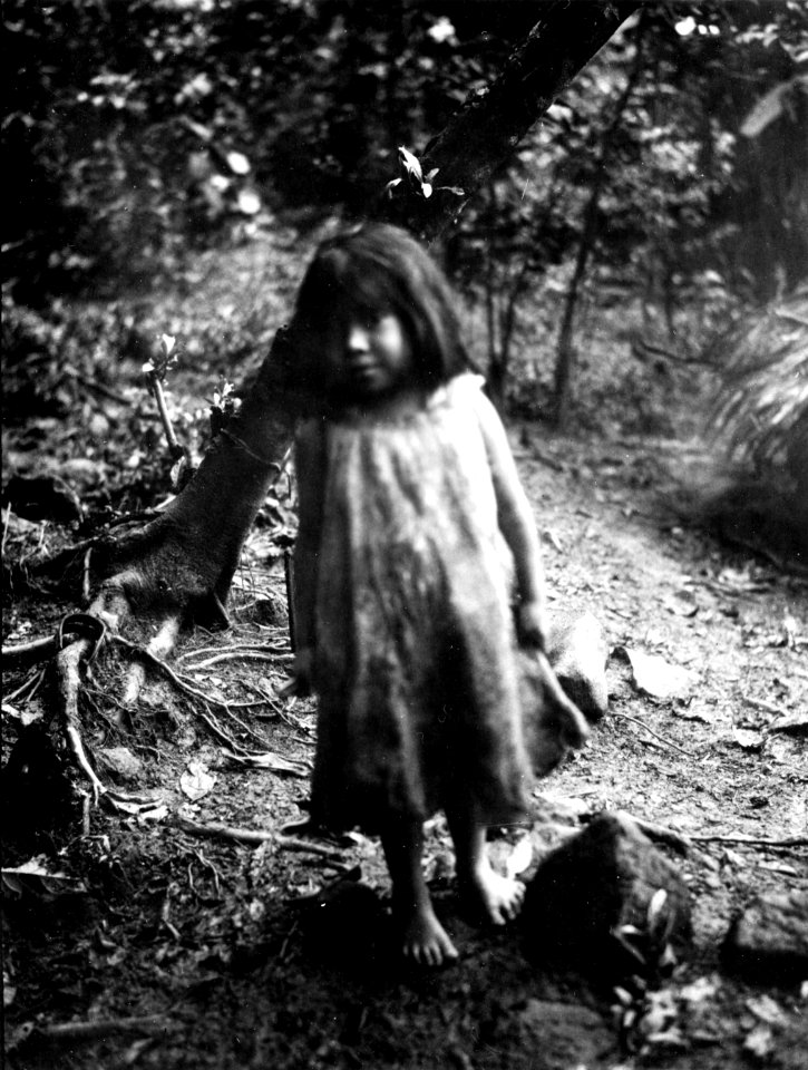 Liten bogotáflicka. Veraguas. Panama - SMVK - 004235