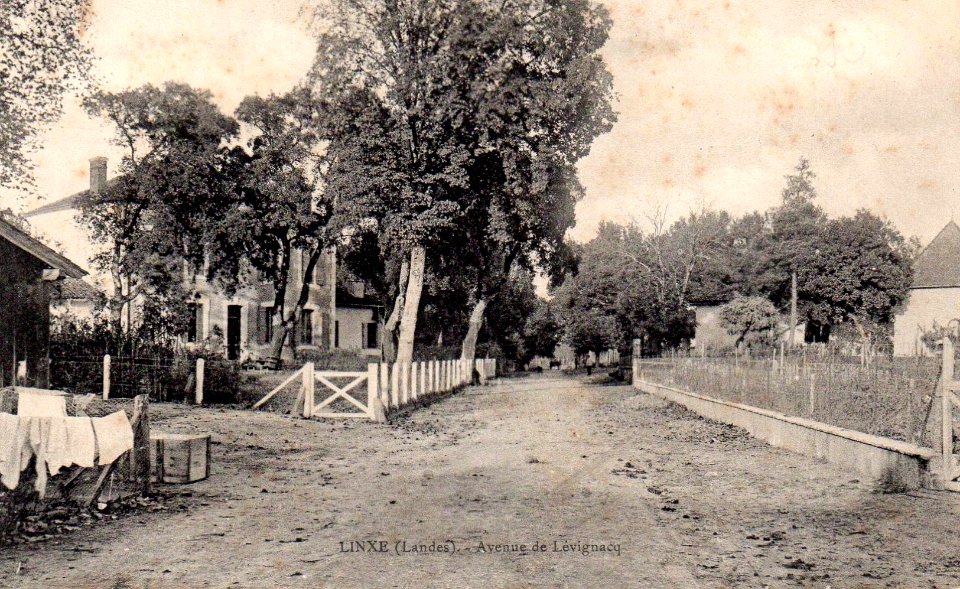 Linxe - Route de Lévignacq