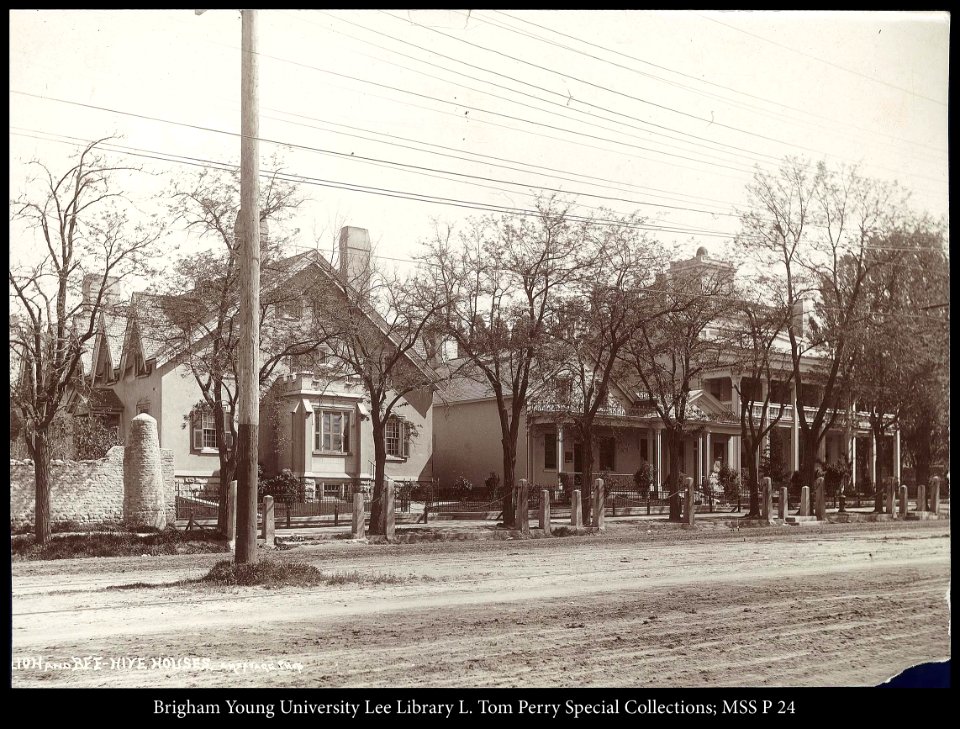 Lion and Beehive Houses C.R. Savage Photo