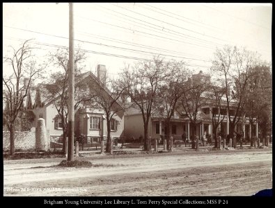 Lion and Beehive Houses C.R. Savage Photo
