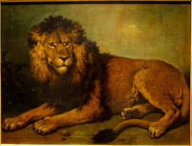 Lion by Johann Conrad Seekatz, Darmstadt, c. 1760, oil on canvas - Hessisches Landesmuseum Darmstadt - Darmstadt, Germany - DSC00067