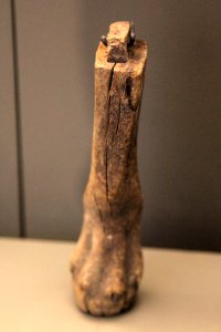 Lion leg shaped furniture element-MAHG 023457-IMG 1747