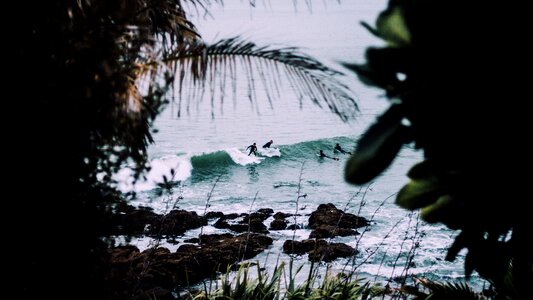 Waves nature trees