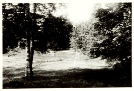 Ljusne - Hallwylska museet - 108963