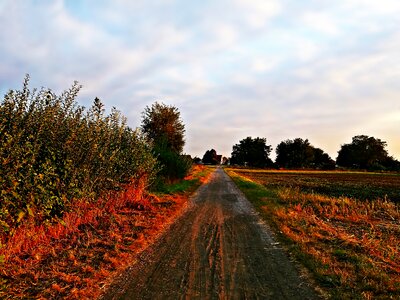 Nature the path way