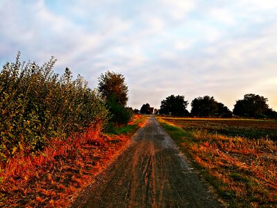 Nature the path way photo