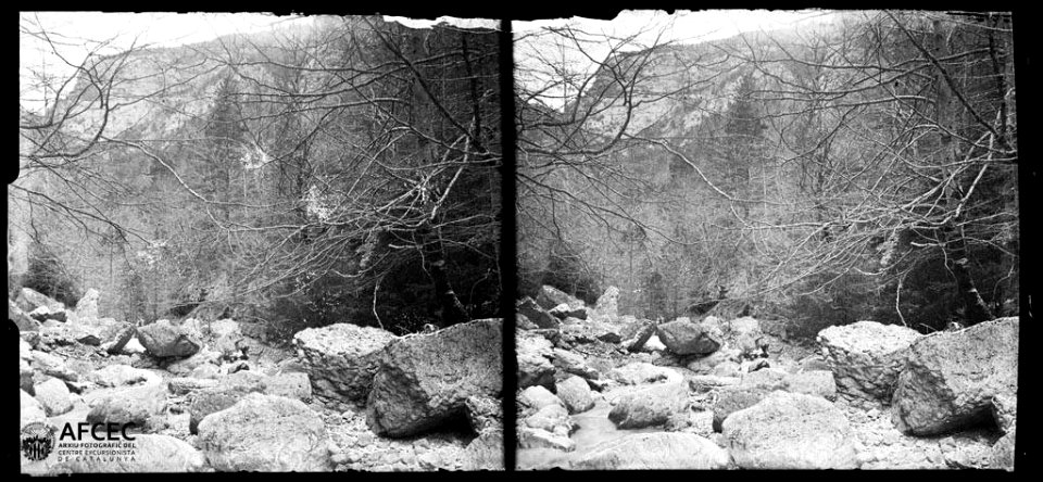 Llera rocosa del torrent del Tec amb boscos a la riba