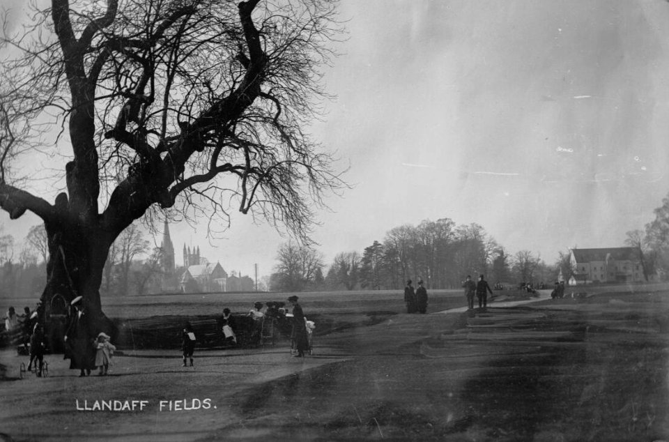 Llandaff Fields, Llandaff (4641455)