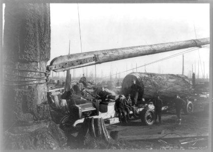 Loading boom on a spar tree - Truck logging in Washington LCCN2002706971 photo
