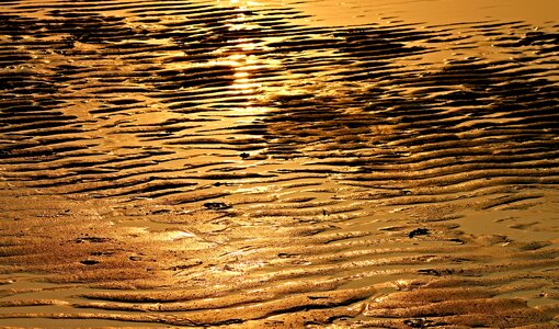 Wave evening light evening sun