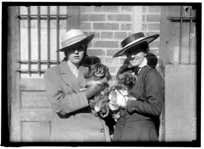 LITTANER, MISS CATHERINE L. DOG SHOW LCCN2016866275