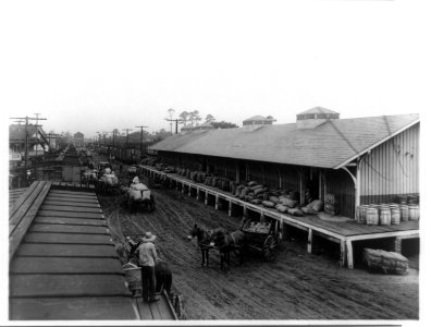 Loading potatoes, Florida LCCN96511655