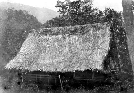 Lobon i byn Tipe. 2 fotos. Lokal, Tobakoe, Central-Celebes. Foto av Walter Kaudern, okt. 1918 - SMVK - 010809