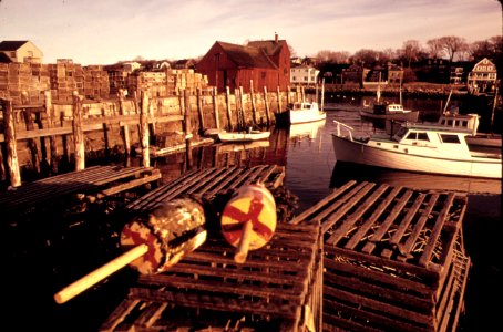 Lobster pots, Rockport harbour photo