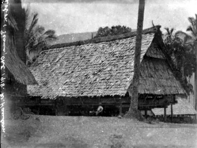 Lobon i Peana. (Full med små ljusa prickar). Peana. Indonesien - SMVK - 022135