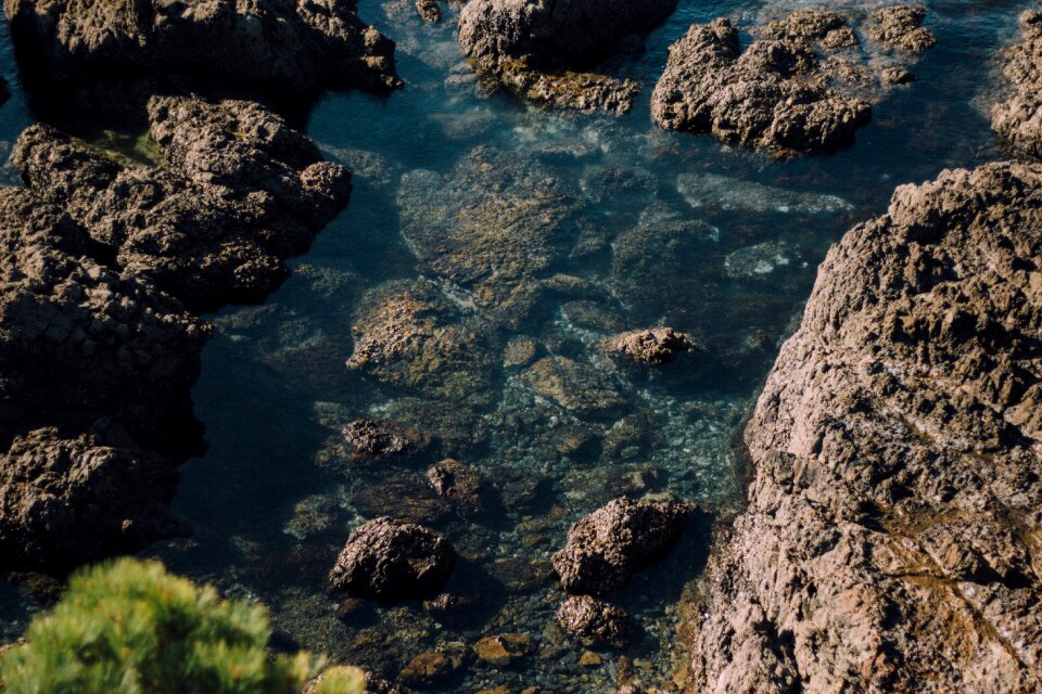 Coast nature landscape