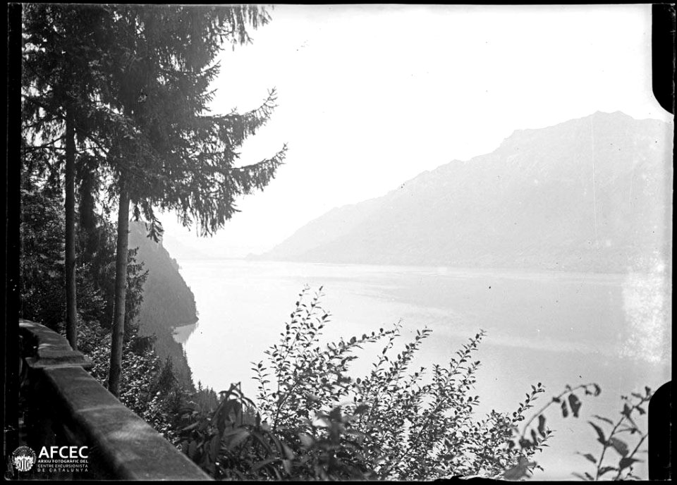 Llac de Brienz entre muntanyes i vegetació