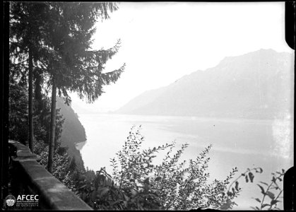 Llac de Brienz entre muntanyes i vegetació