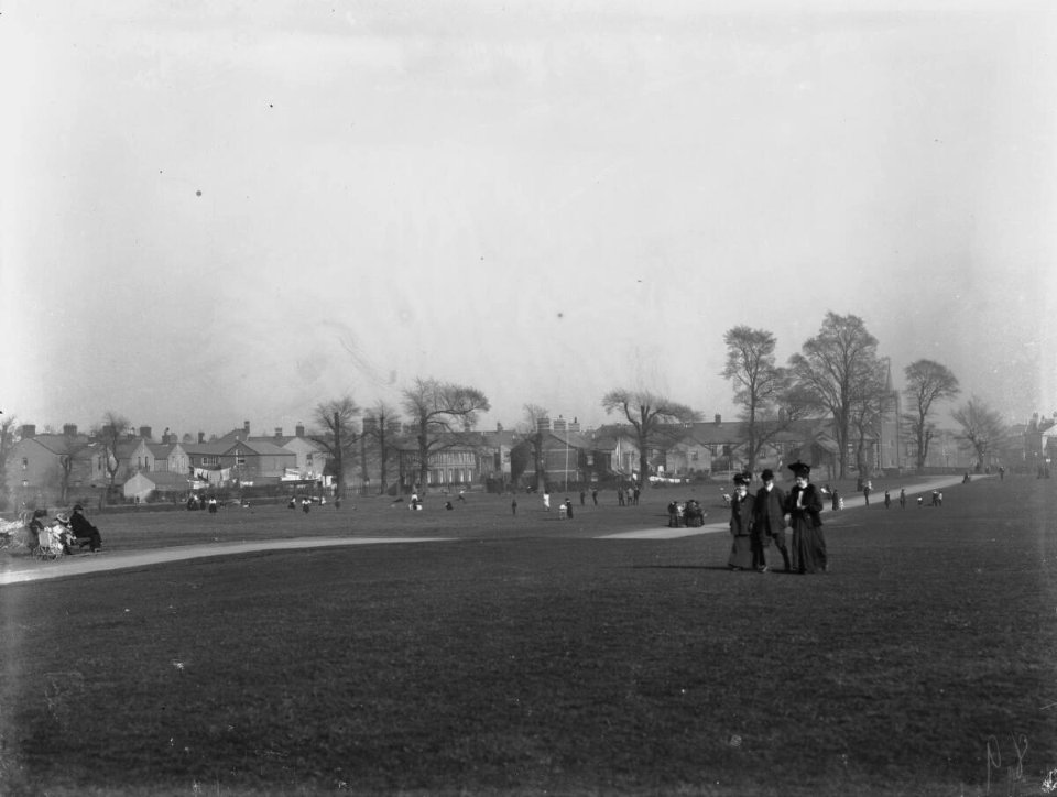 Llandaff Fields (4641550)