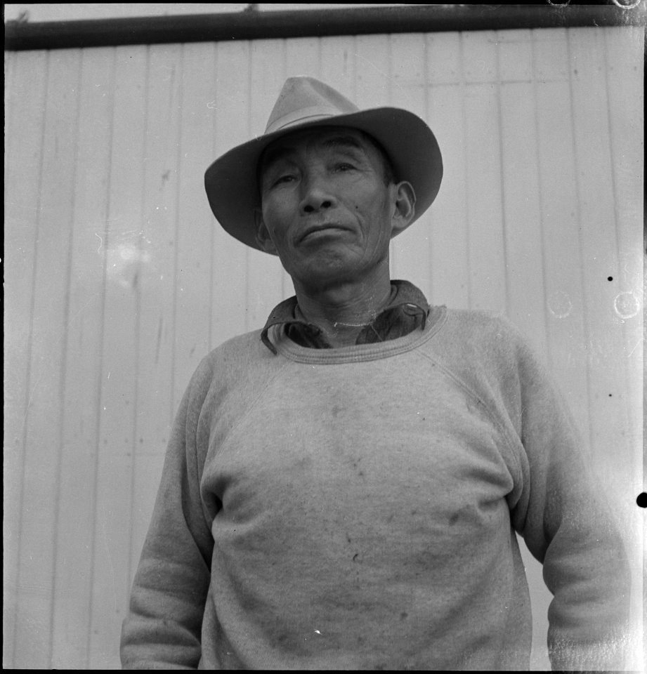 Lodi, California. An alien Japanese pictured before evacuation at his farm in the grape- producing . . . - NARA - 537626