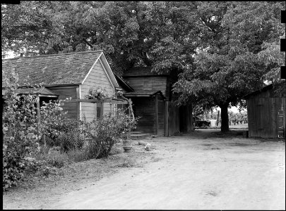 Lodi, California. A family of Japanese ancestry lived in this house and operated the surrounding vi . . . - NARA - 537623