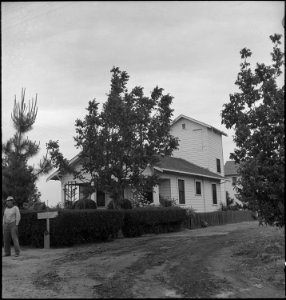 Lodi, California. This farm home is owned by farmers of Japanese ancestry in the rich, highly produ . . . - NARA - 537624