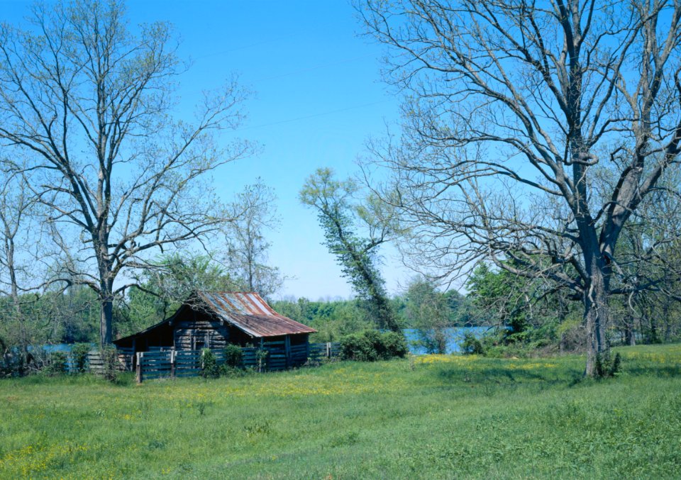 Log house in the Cane River Creole National Historical Park