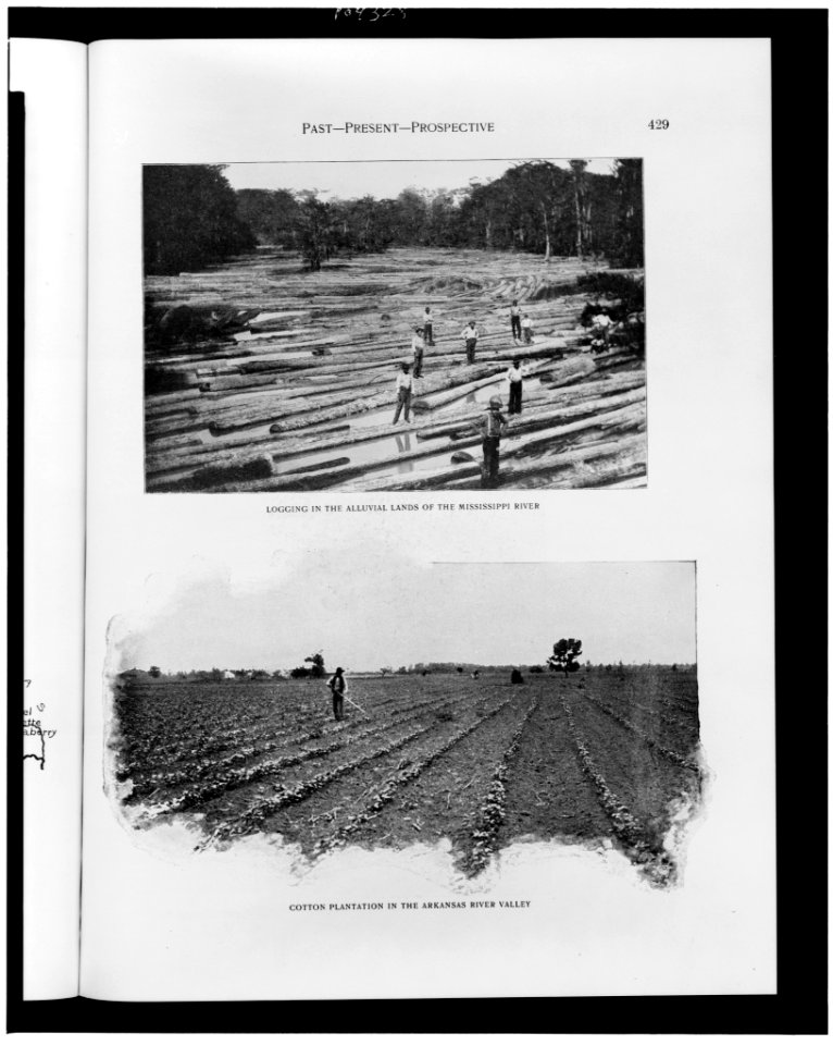 Logging in the alluvial lands of the Mississippi River. Cotton plantation in the Arkansas River Valley LCCN91796526