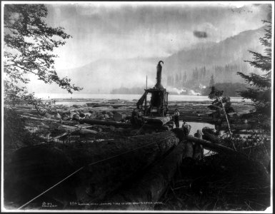 Logging in the Cascade Mountains, near Seattle, Wash.- Landing Donkey (steam powered winch) Showing Turn of Logs about to enter water LCCN2004674859