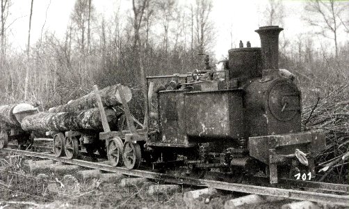 Logging railway in France