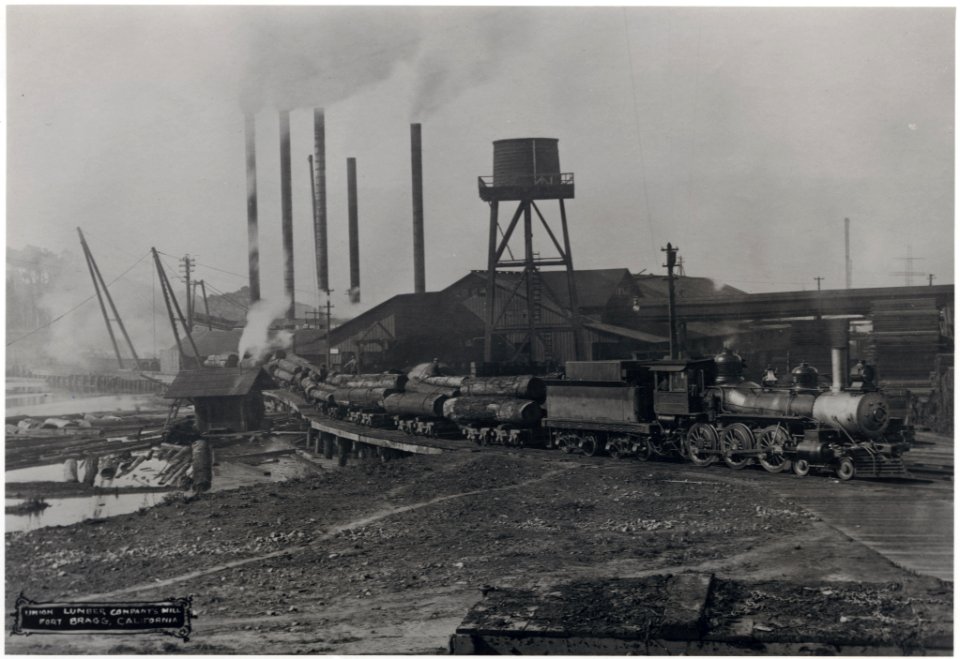 Logging train 2011-1684